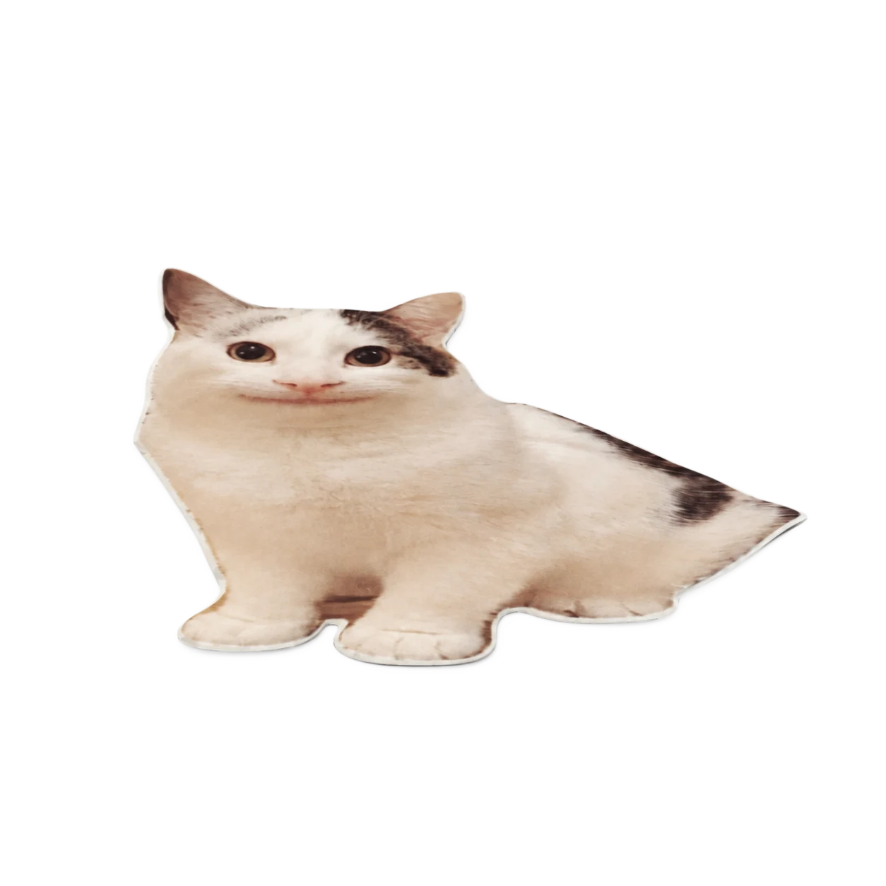 Flat cat